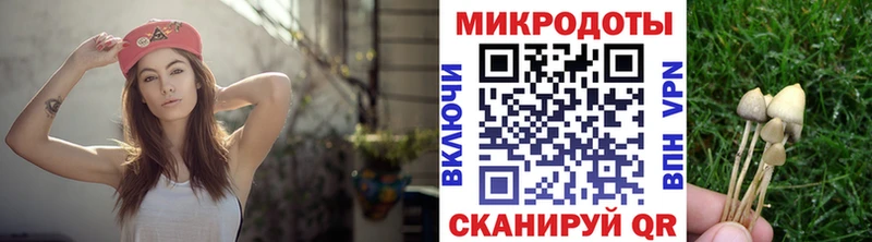 Галлюциногенные грибы ЛСД  Гаврилов-Ям 